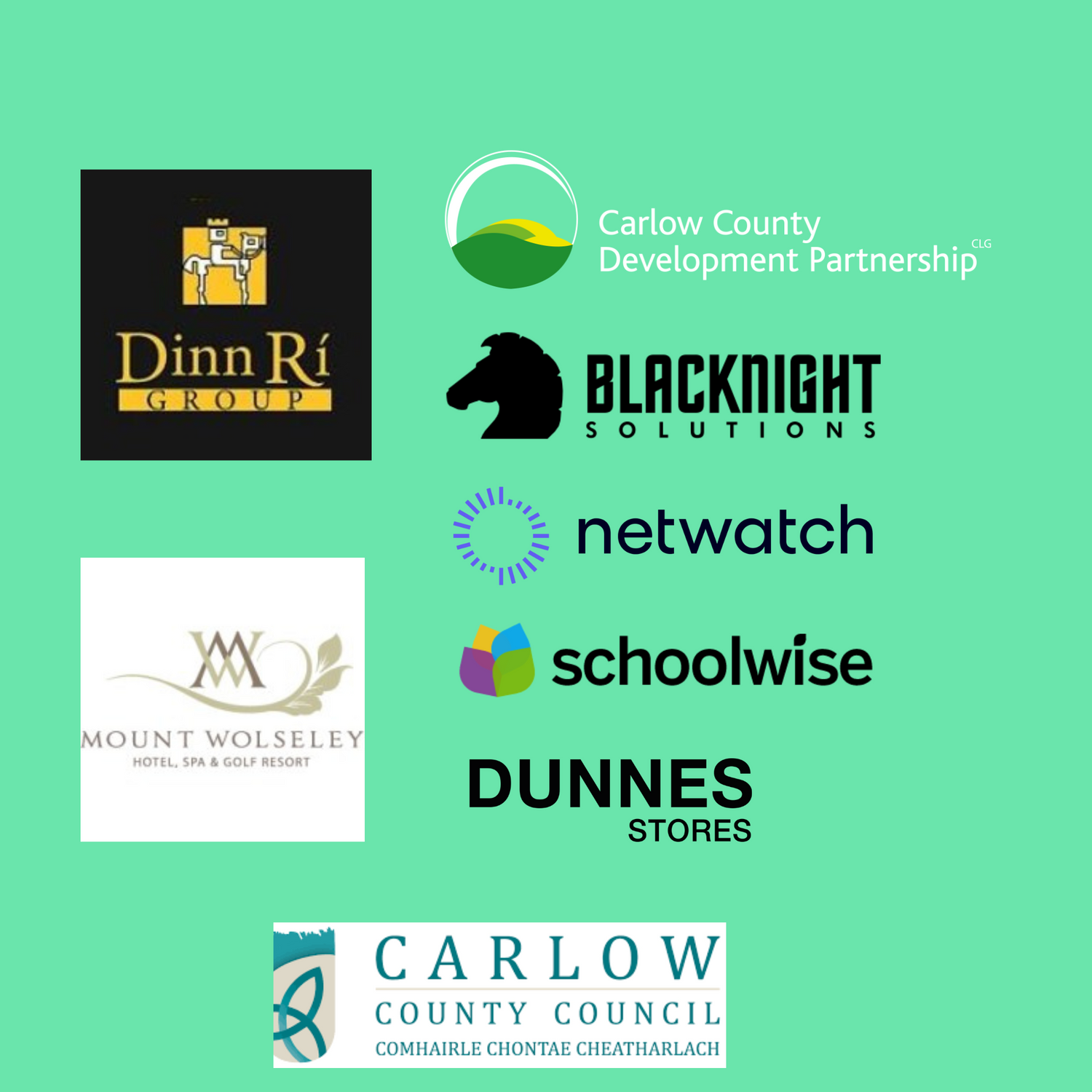Logos for Dinn Ri Group Mount Wolsey Carlow County Development Partnership Blacknight Solutions Netwatch Schoolwise Dunnes Stores and Carlow County Council 